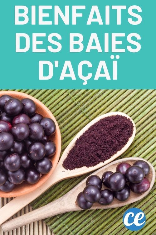 Des baies d'açaï en poudre et en baies dans une cuillère en bois et dans un bol