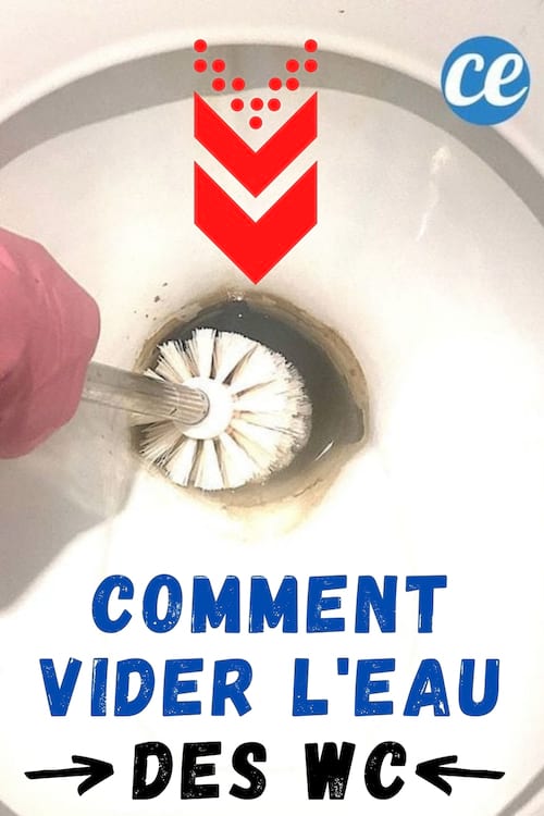 Utiliser une brosse pour les WC pour vider l'eau de la cuvette des toilettes