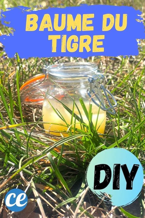 Un pot baume du tigre DIY facile et rapide