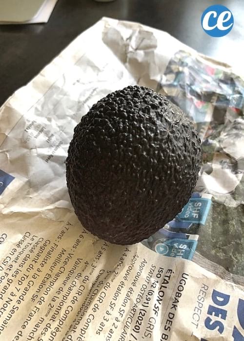 avocat dans du papier journal