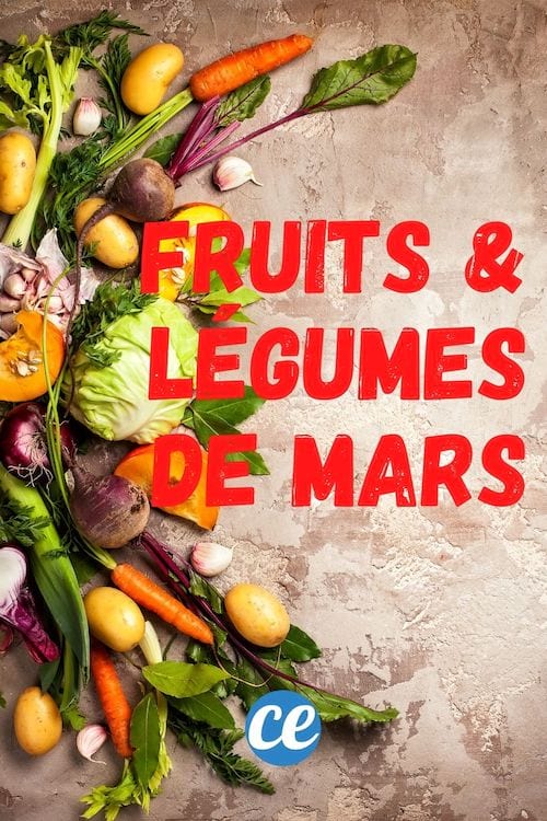Les Fruits et Légumes de Saison Pour le Mois de Mars.