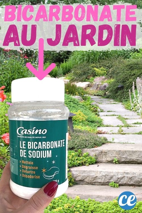 bicarbonate et ses utilisations dans le jardin potager