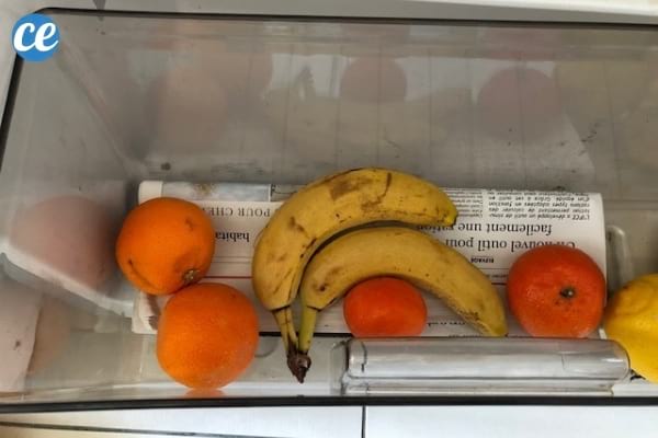 journal au fond du bac à légumes