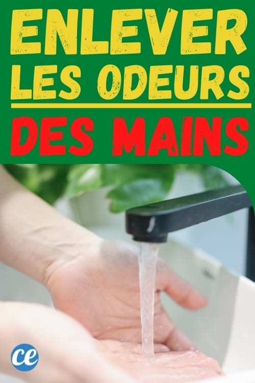 mains et robinet avec de l'eau