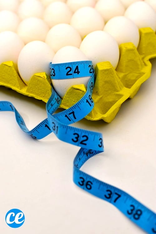Manger des œufs facilite la perte de poids.
