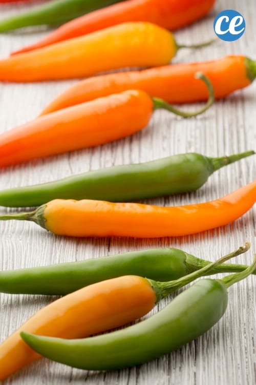 Des piments rouges et verts qui contiennent de la capsaïcine, une substance qui réduit la sensation de faim.
