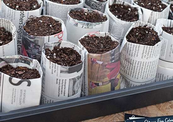 pot de semis en papier journal