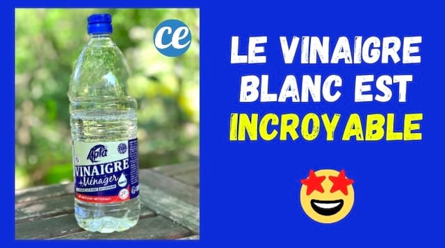 13 Propriétés Incroyables du Vinaigre Blanc à Connaître Absolument.