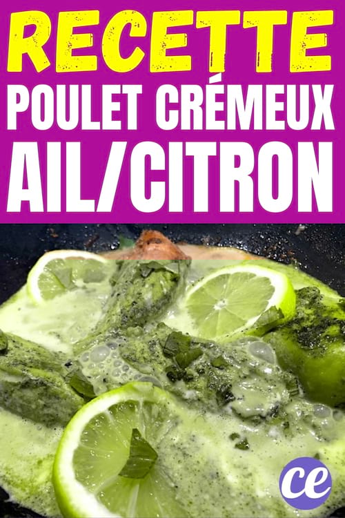 Facile à Faire : La Délicieuse Recette du Poulet Crémeux à l'Ail et Citron.