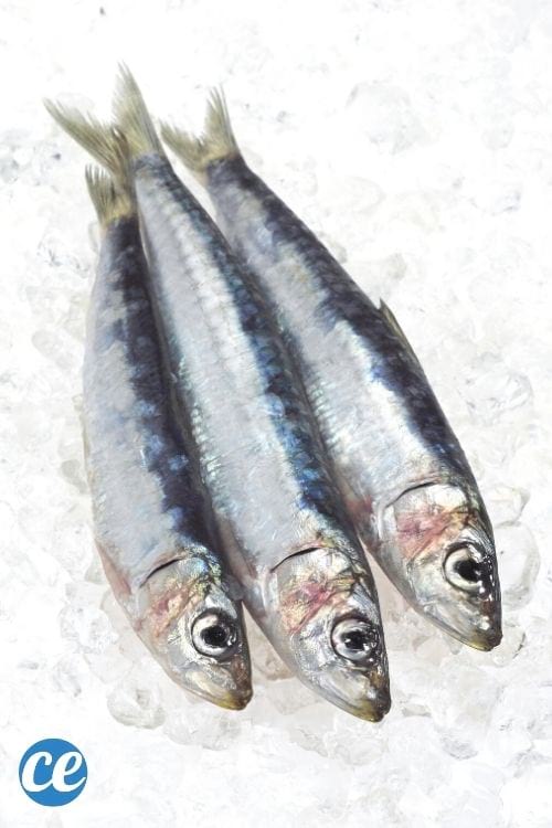 Manger du poisson gras, comme les sardines, aide à faire perdre du poids.