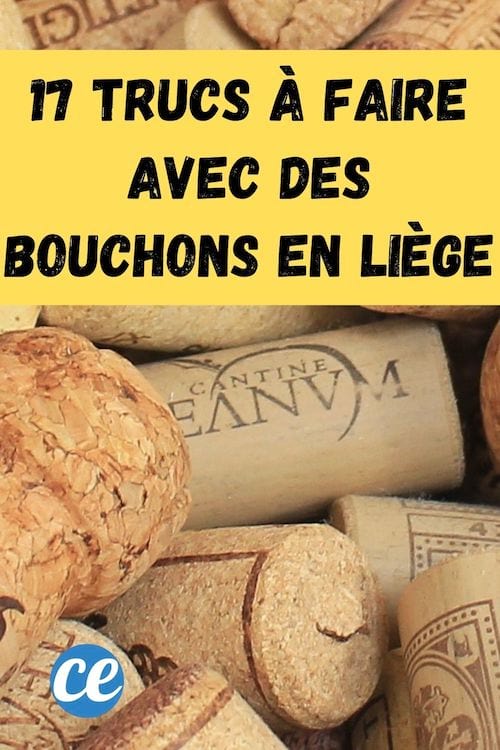 3 astuces pour sauver votre bouchon de liège - Avenue des Vins