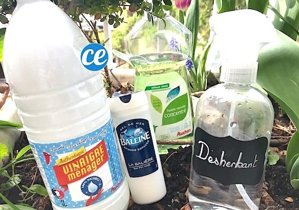 Une bouteille de vinaigre blanc et un spray pour tuer les mauvaises herbes