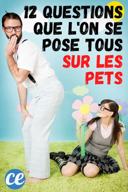 12 questions sur les pets avec les réponses