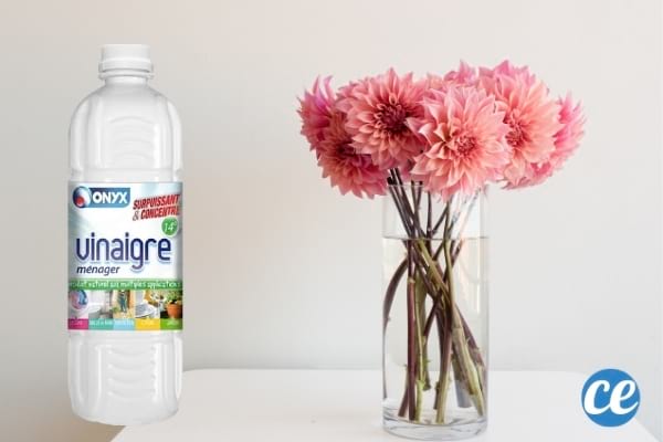 vase en verre très propre et vinaigre blanc