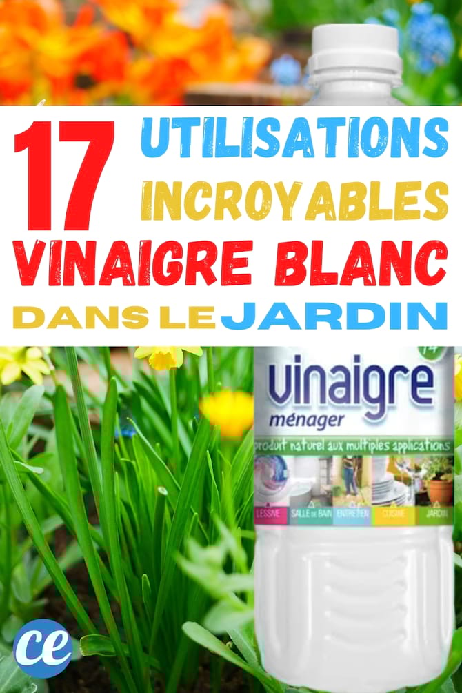 comment utiliser le vinaigre blanc dans le potager pour le jardinage