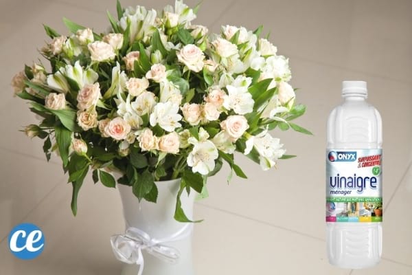 bouquet de fleurs blanches coupées et vinaigre blanc