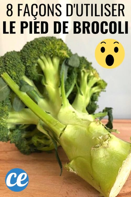 Un pied de brocoli pris en gros plan posé sur une table en bois