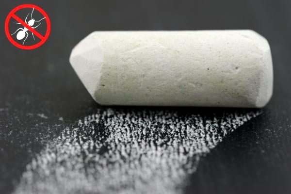 Un morceau de craie avec un logo stop fourmis rouge et blanc