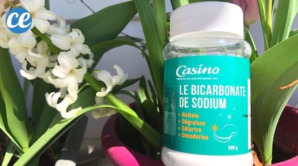 Un flacon de bicarbonate dans un pot de fleurs
