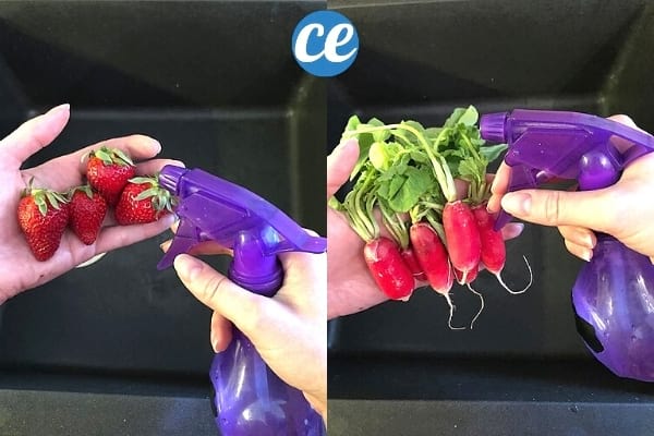 fraises et radis avec un spray maison anti-pesticides