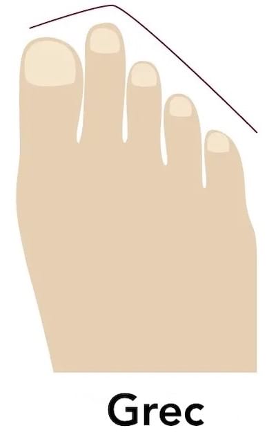 La forme d'un pied romain avec des orteils en forme de V