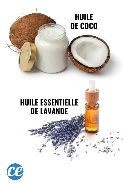 Pour stopper la chute des cheveux, faites des massages du cuir chevelu avec de l'huile de coco et des huiles essentielles.