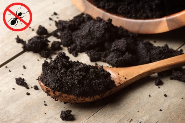 Du marc de café sur la table avec un logo stop fourmis