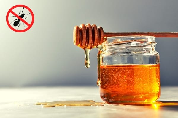 Un pot de miel qui coule sur la table avec un logo stop fourmis