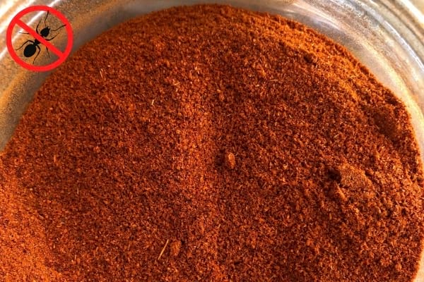 Du poivre de cayenne dans une coupelle et un logo stop fourmis 
