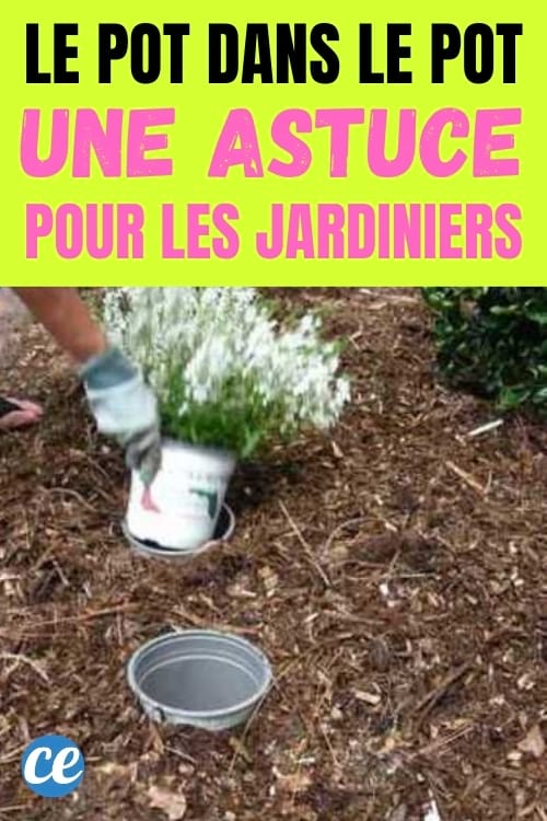 pot de fleur mis dans un autre pot de fleur dans le jardin