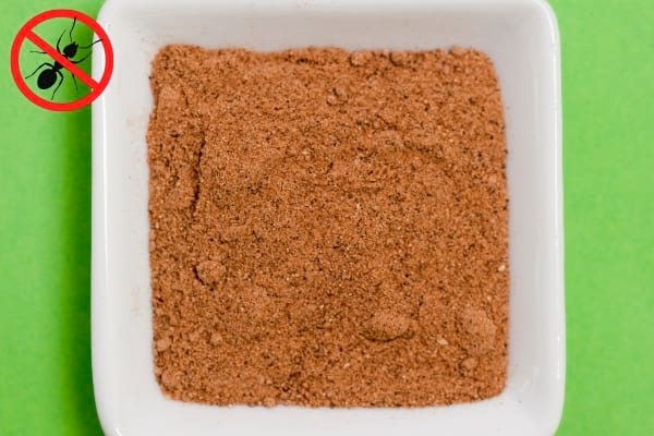 de la poudre de cannelle dans une coupelle blanche un logo stop fourmis