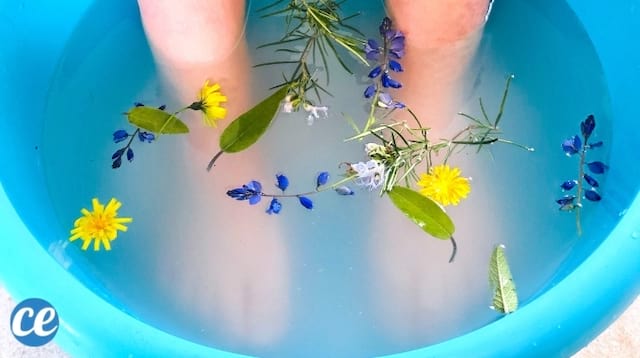 bain de pied relaxant fait maison avec du sel d'Epsom, du bicarbonate et des fleurs dans une bassine bleue