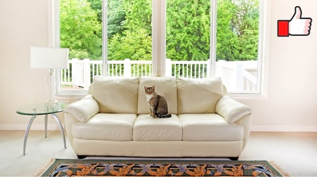 Un salon avec un canapé blanc super propre grâce à cette routine quotdienne 