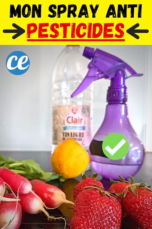 Un spray anti pesticides violet avec des fraises rouges et des radis