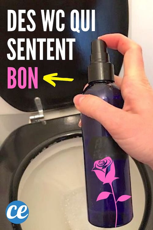 Un spray fait maison pour désodoriser les toilettes