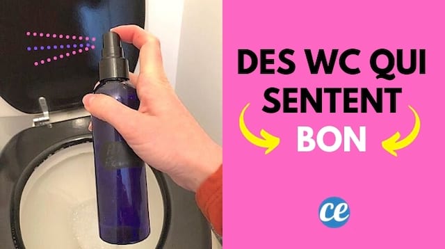 Des WC qui sentent bon grâce au désodorisant fait maison aux huiles essentiielles