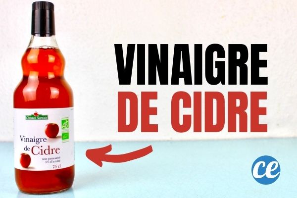 Cuir Chevelu Qui Gratte ? 4 Remèdes Pour Stopper les Démangeaisons.