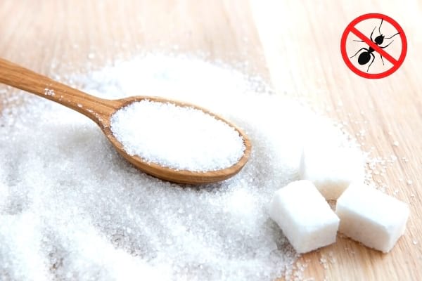 Un logo stop fourmis rouge et noir avec du sucre en poudre