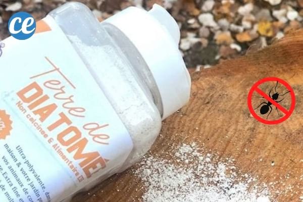 Un flacon de terre de diatomée sur une table en bois avec un logo stop fourmis