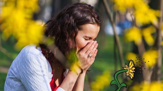 Une femme qui éternue à cause du pollen et du rhume des foins