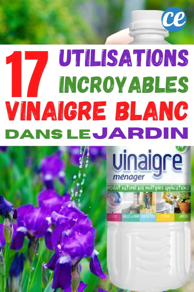 comment utiliser le vinaigre blanc dans un jardin