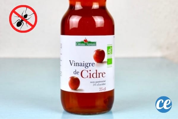 Du vinaigre de cidre en bouteille avec un logo stop fourmis 
