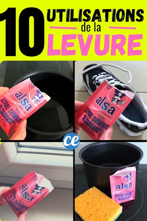 10 Utilisations de la Levure Chimique Périmée depuis 1 mois Que Personne Ne Connaît.
