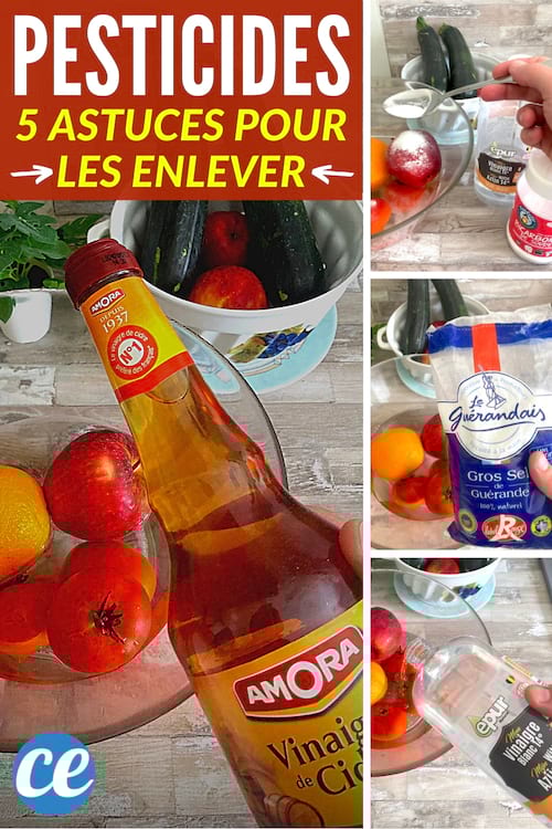 5 astuces pour enlever les pesticides sur les fruits et l&eacute;gumes avec du vinaigre de cidres