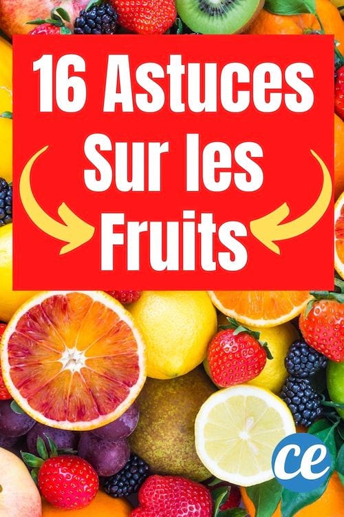 16 astuces sur les fruits pour se simplifier la vie
