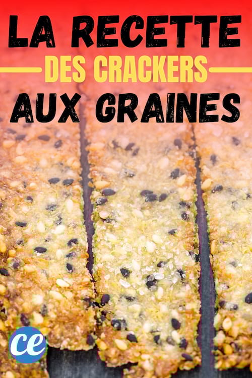 recette de biscuits crackers salé aux graines