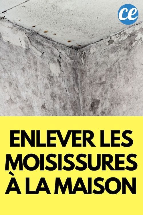 Des astuces efficaces pour enlever un mur et un plafond plein de moisissure