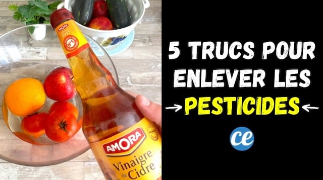 5 Astuces Pour &Eacute;liminer un Maximum de Pesticides