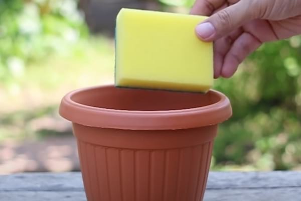 Éponge dans un pot de fleurs utilisée pour hydrater abondamment les plantes