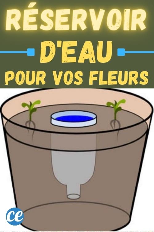 réservoir d'eau pour les fleurs avec une bouteille